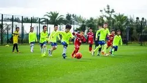 宝威体育 产品 101209 p8n